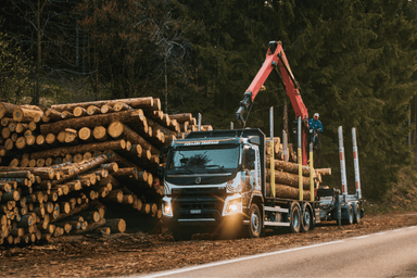 A forestry truck loads tree trunks