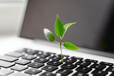 Un lap top avec une pousse verte en son centre.