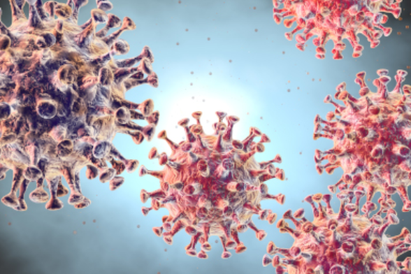Image d’illustration du coronavirus