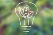 Dessin d'une ampoule électrique contenant de petites feuilles vertes à l'intérieur pour illustrer l'écologie. 