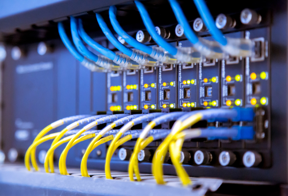 Des cables réseaux sont branchés dans un serveur.